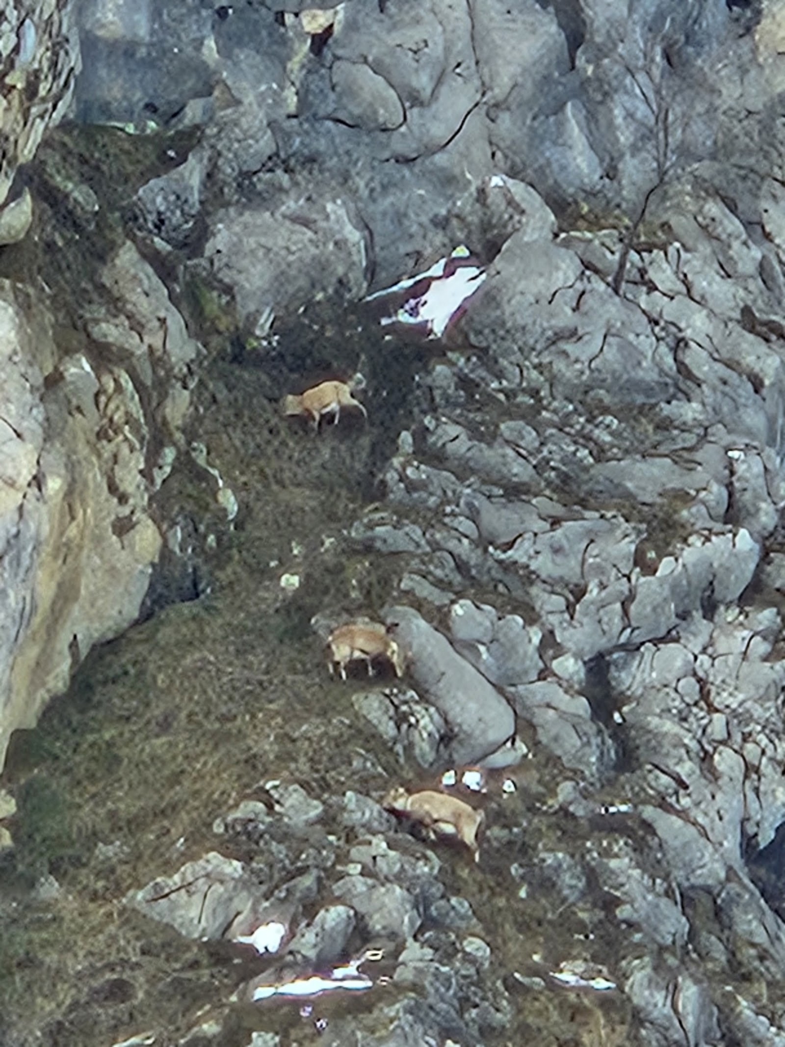 Ruisseau de montagne dans les Aravis