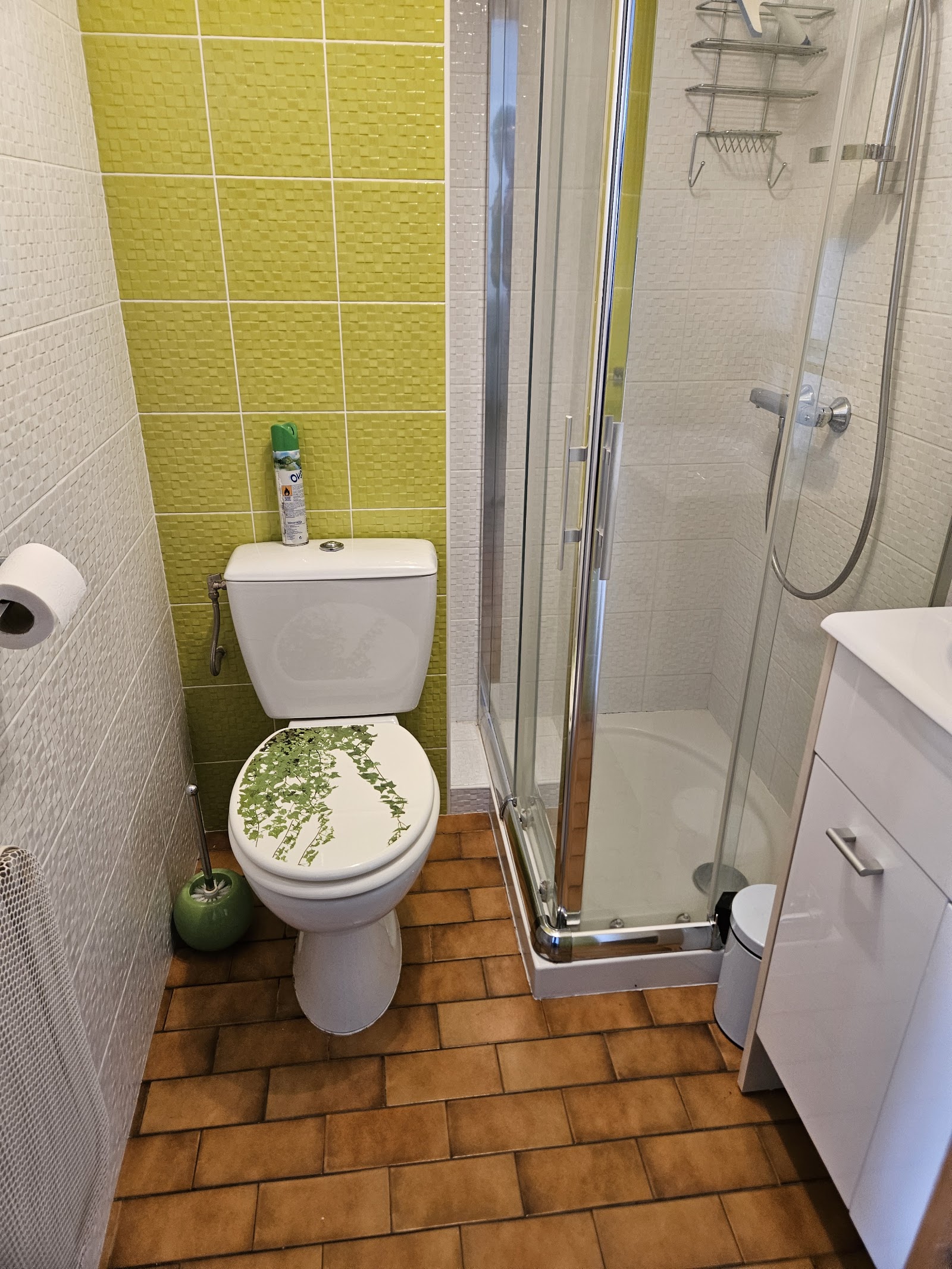Salle d'eau avec WC